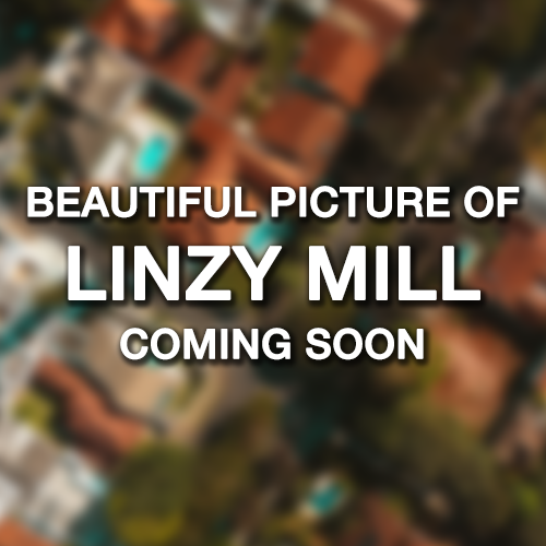 Linzy Mill